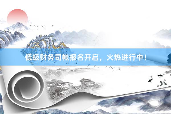 低级财务司帐报名开启，火热进行中！